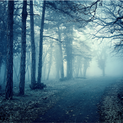 Classic Mysteries - Ind. Study - FALL FULL