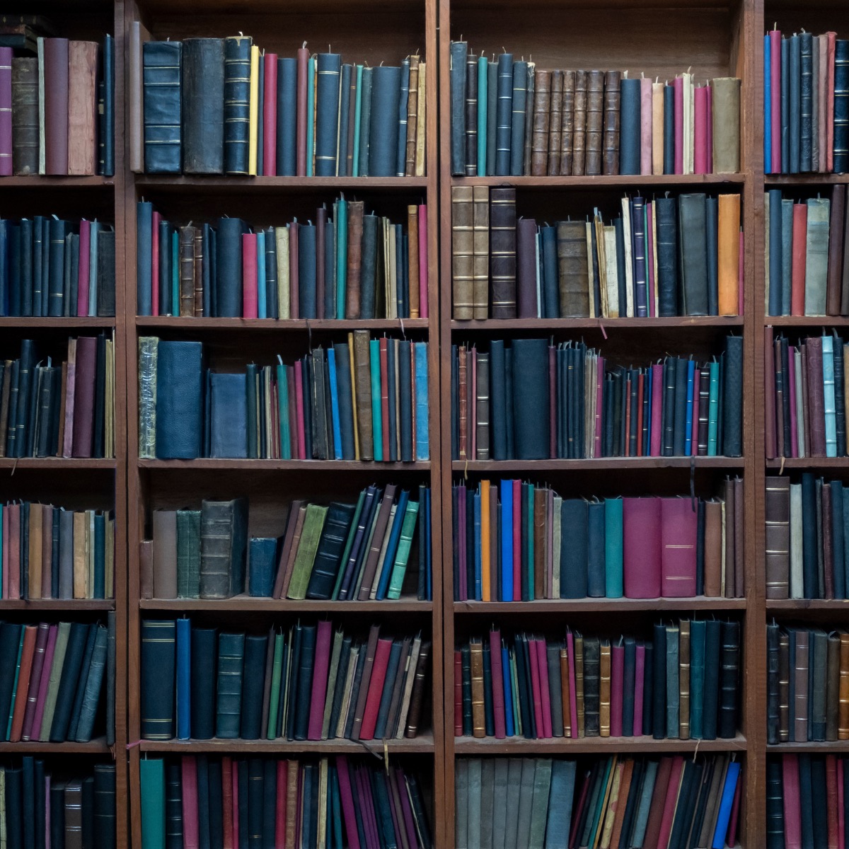 English I: Introduction to Literary Analysis and Composition – Self-Paced