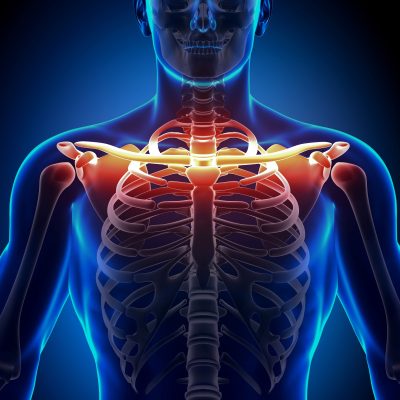 Human Anatomy & Physiology