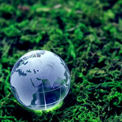 Environmental Science: You Could Literally Save the World with This Stuff!